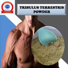 Tribulus Terrestris Powder
