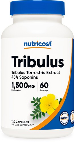 Tribulus terrestris extract - tribulus,